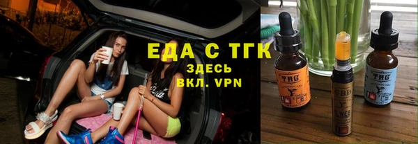 стаф Ельня