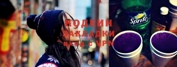 стаф Ельня