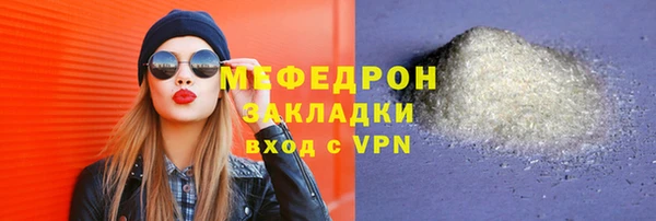 стаф Ельня