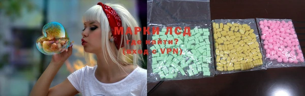 стаф Ельня