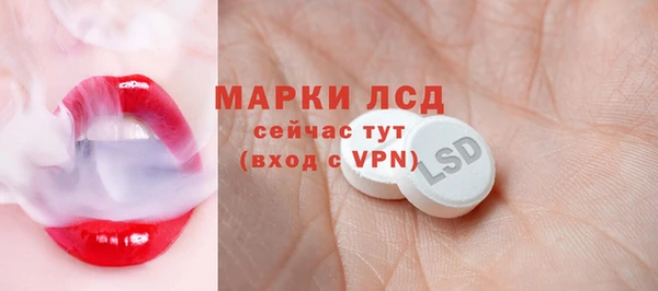 стаф Ельня
