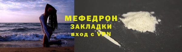 стаф Ельня