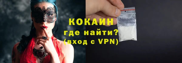 стаф Ельня