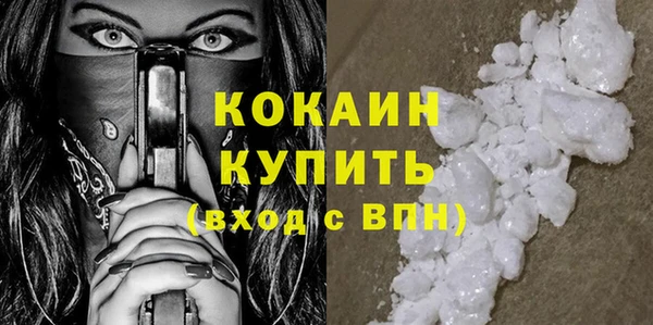 стаф Ельня