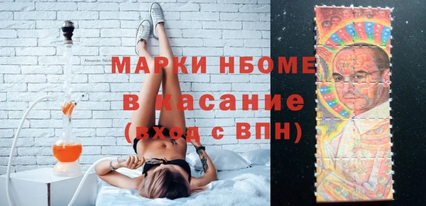 стаф Ельня