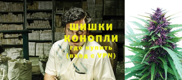 стаф Ельня
