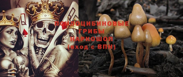 ПСИЛОЦИБИНОВЫЕ ГРИБЫ Елабуга