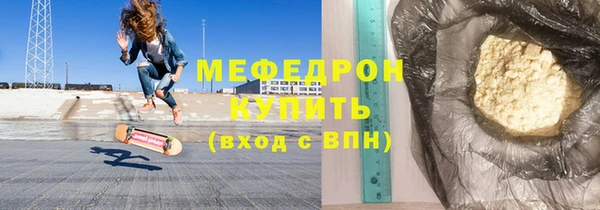 стаф Ельня